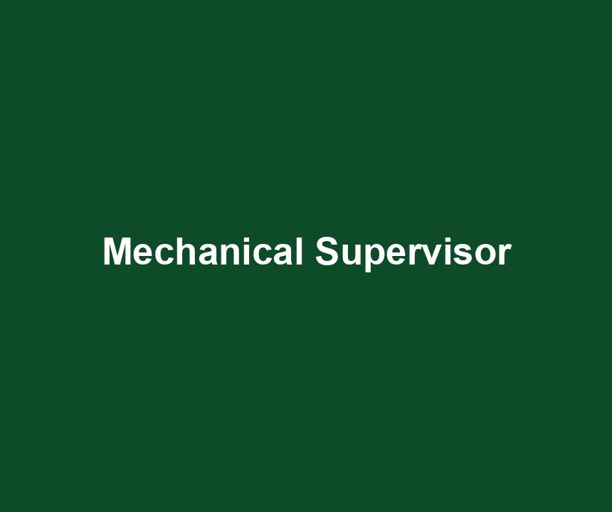 Mechanical Supervisor