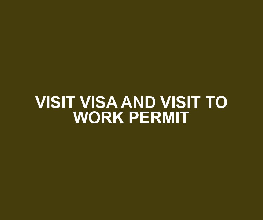 VISIT VISA AND VISIT TO WORK PERMIT