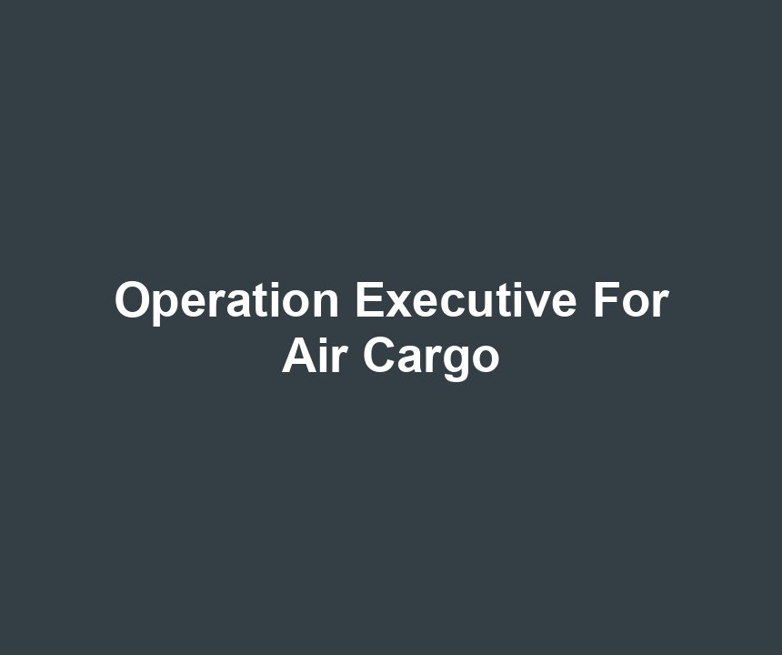 Operation Executive For Air Cargo