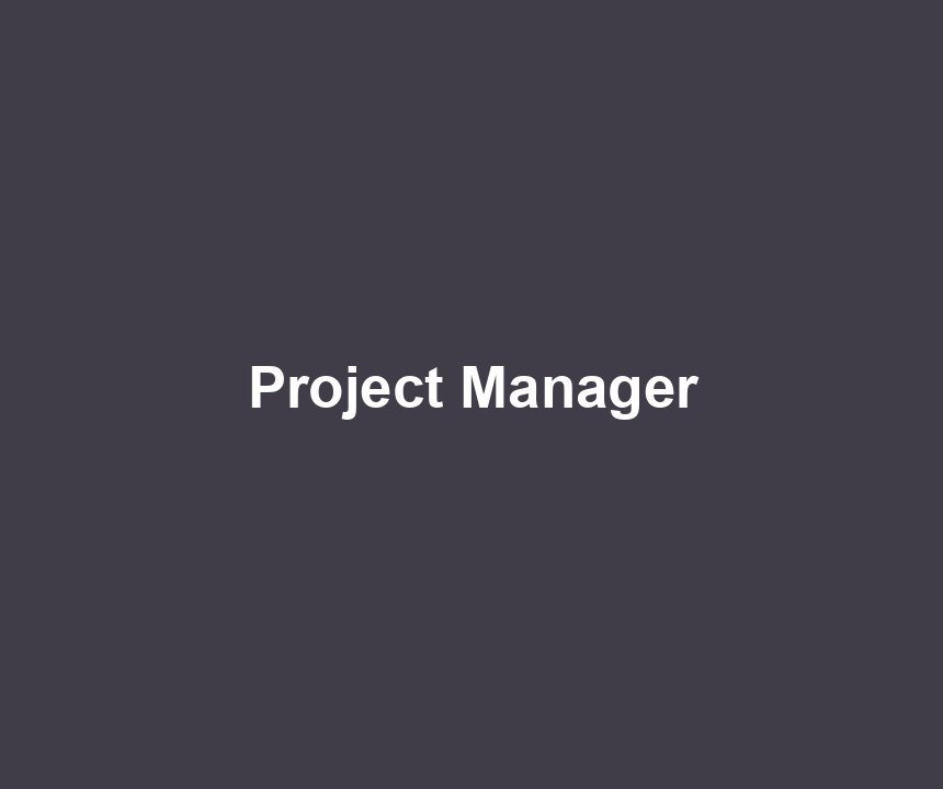 Project Manager