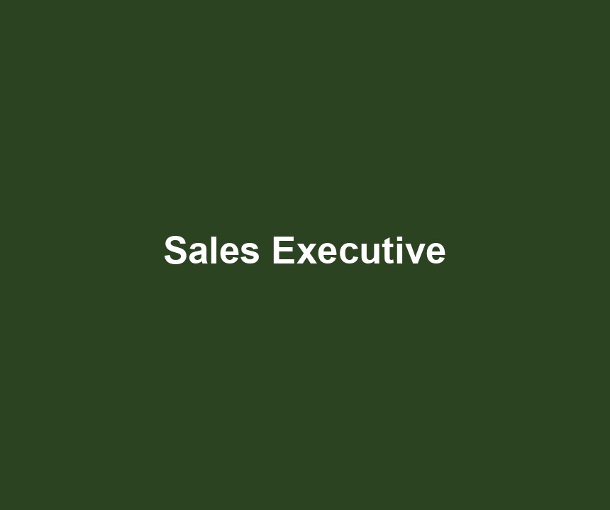 Sales Executive