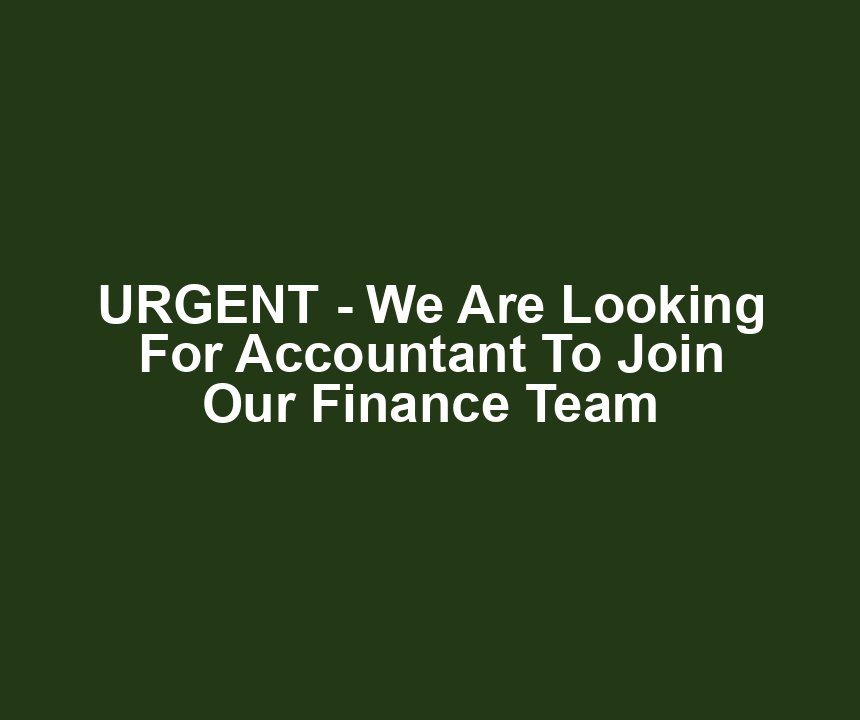 URGENT - We Are Looking For Accountant To Join Our Finance Team
