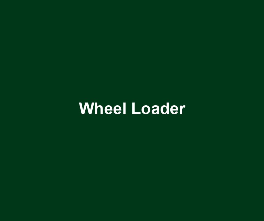 Wheel Loader