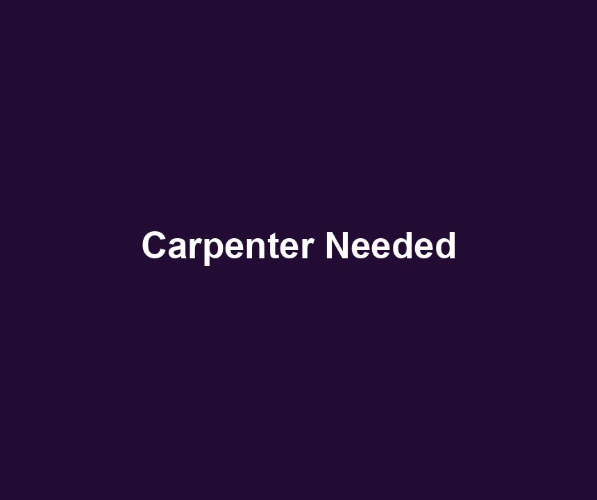 Carpenter Needed