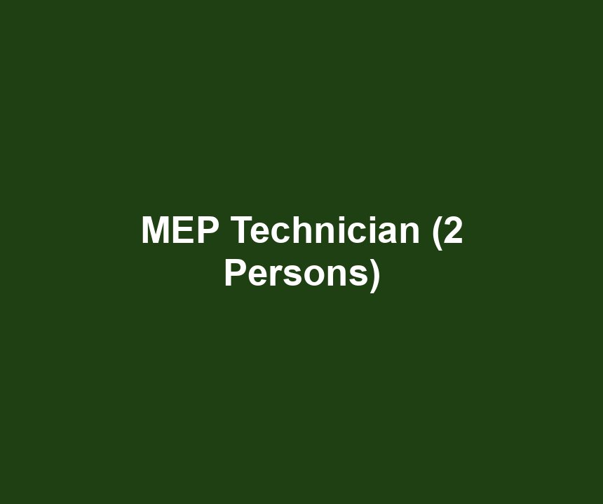MEP Technician (2 Persons)