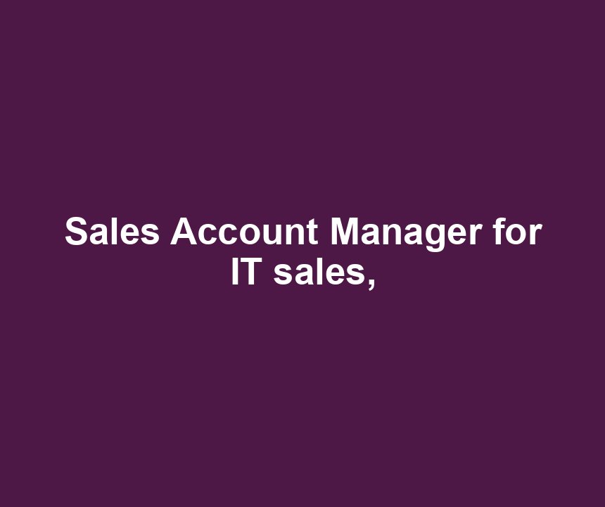 Sales Account Manager for IT sales,