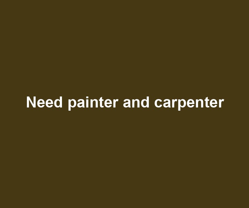Need painter and carpenter