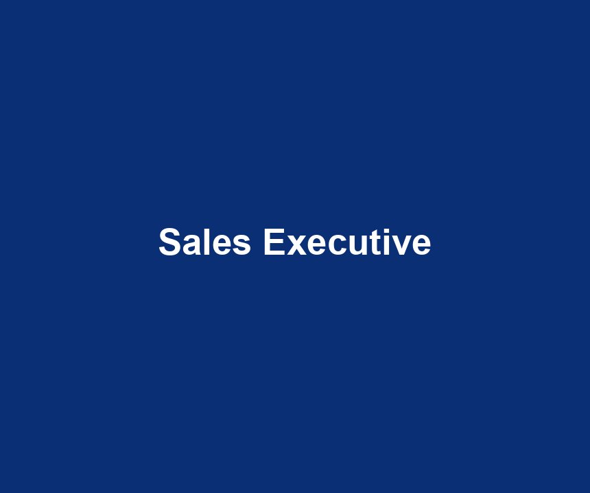 Sales Executive