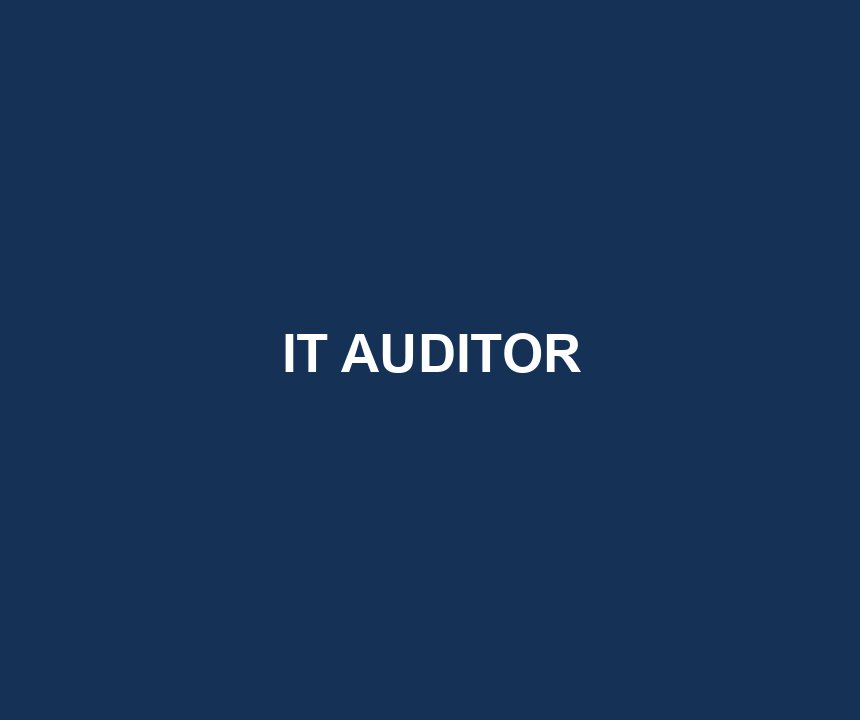 IT AUDITOR