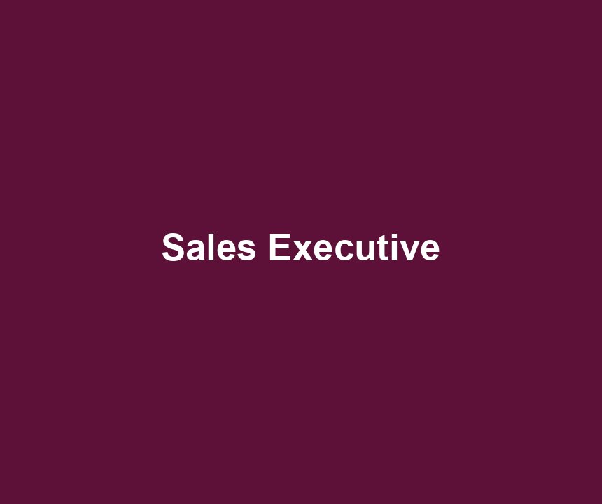 Sales Executive