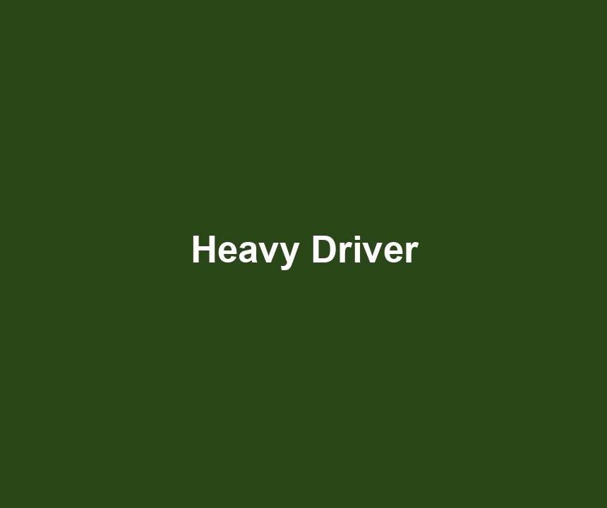 Heavy Driver