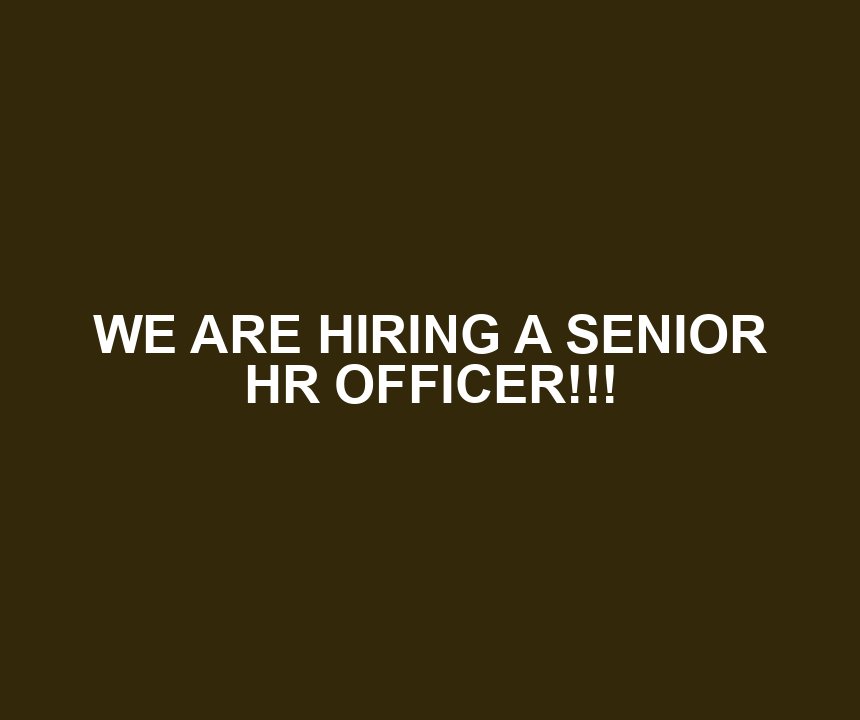 WE ARE HIRING A SENIOR HR OFFICER!!!
