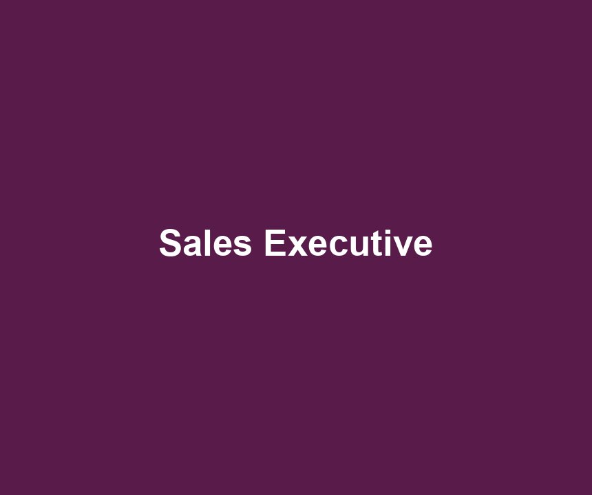 Sales Executive
