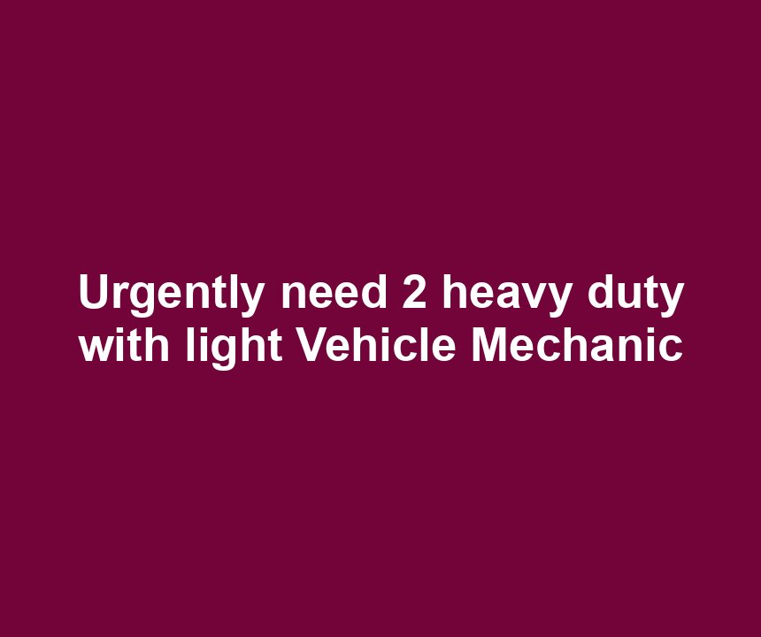 Urgently need 2 heavy duty with light Vehicle Mechanic
