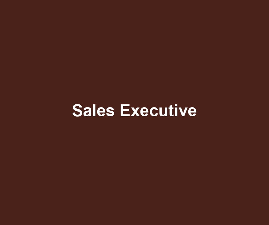 Sales Executive