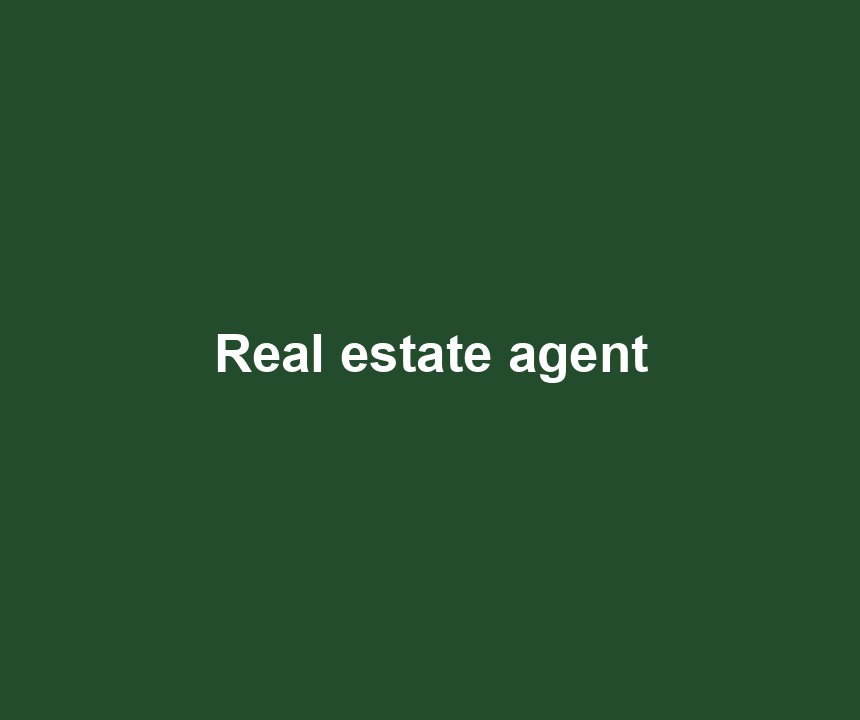 Real estate agent