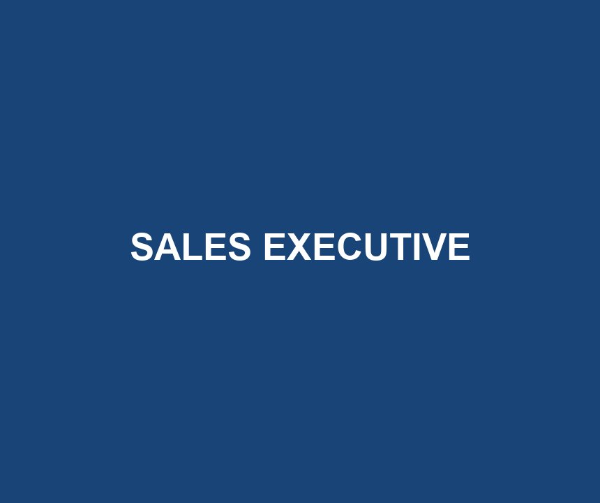 SALES EXECUTIVE