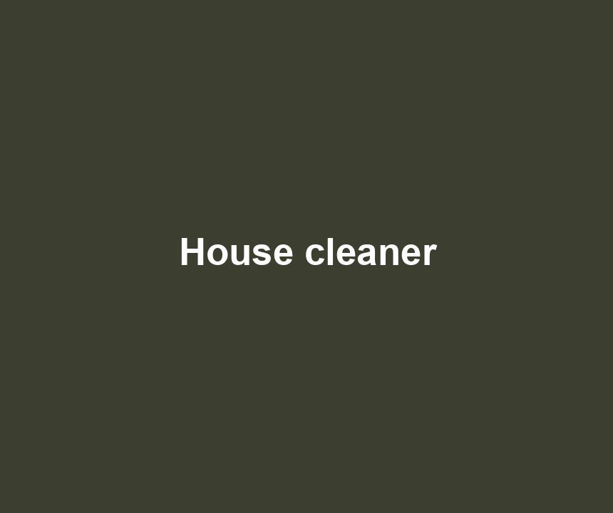 House cleaner