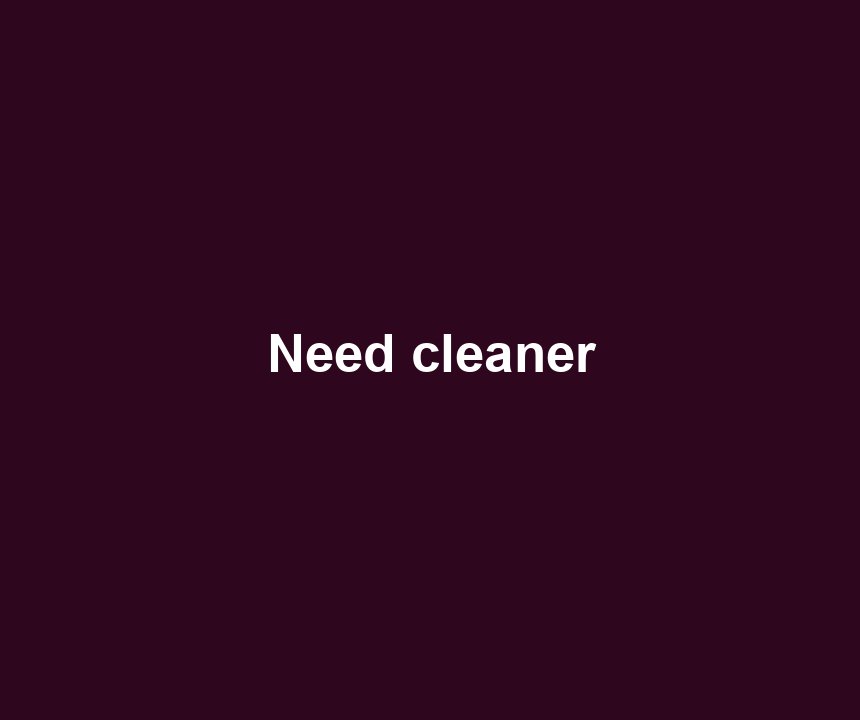 Need cleaner