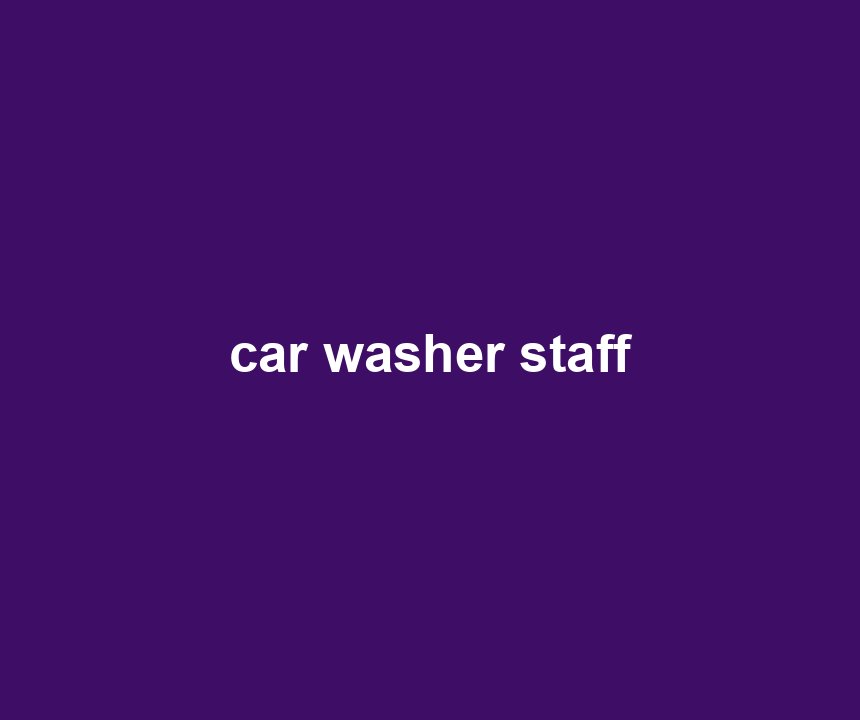 car washer staff