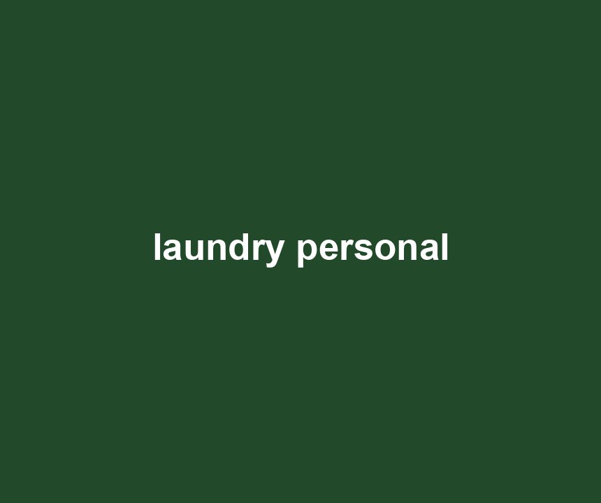 laundry personal