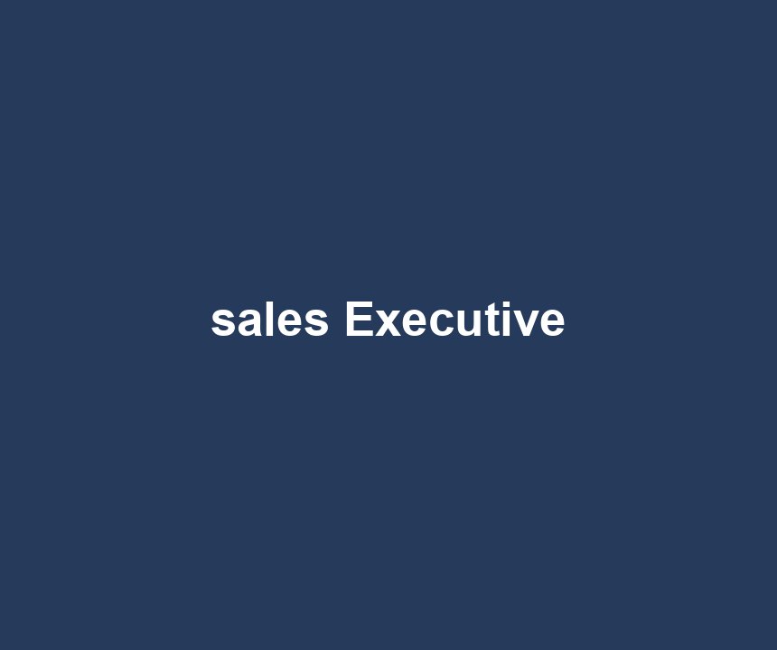 sales Executive