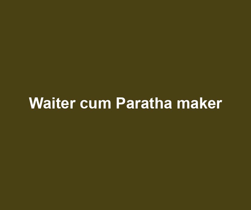 Waiter cum Paratha maker