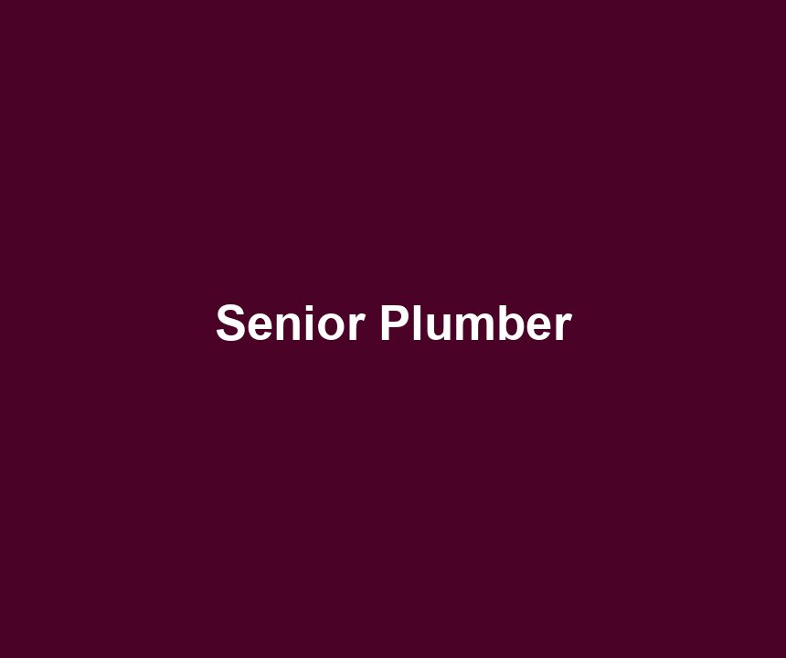 Senior Plumber