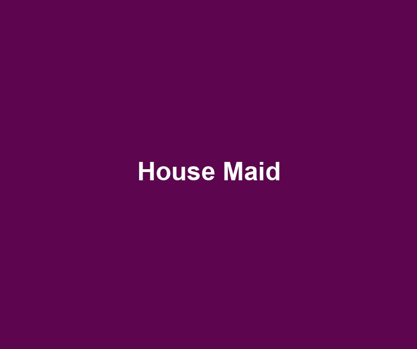 House Maid