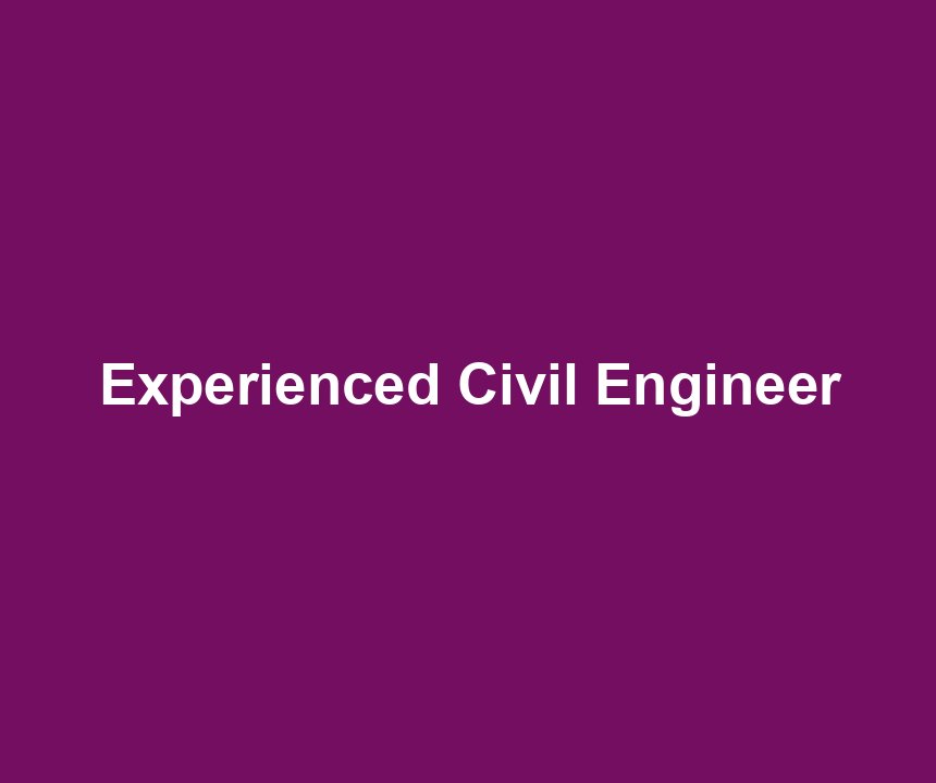 Experienced Civil Engineer
