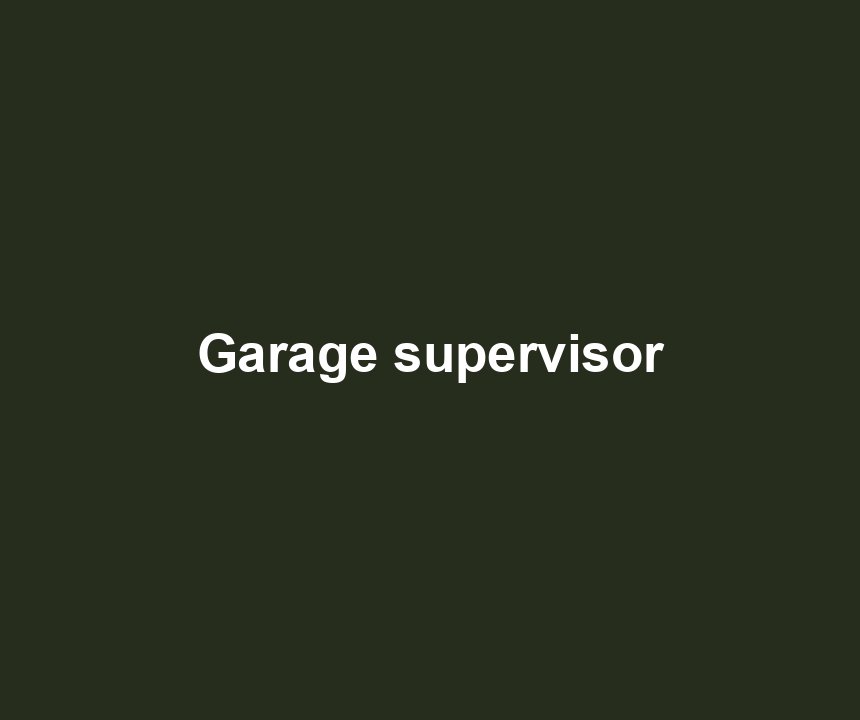 Garage supervisor