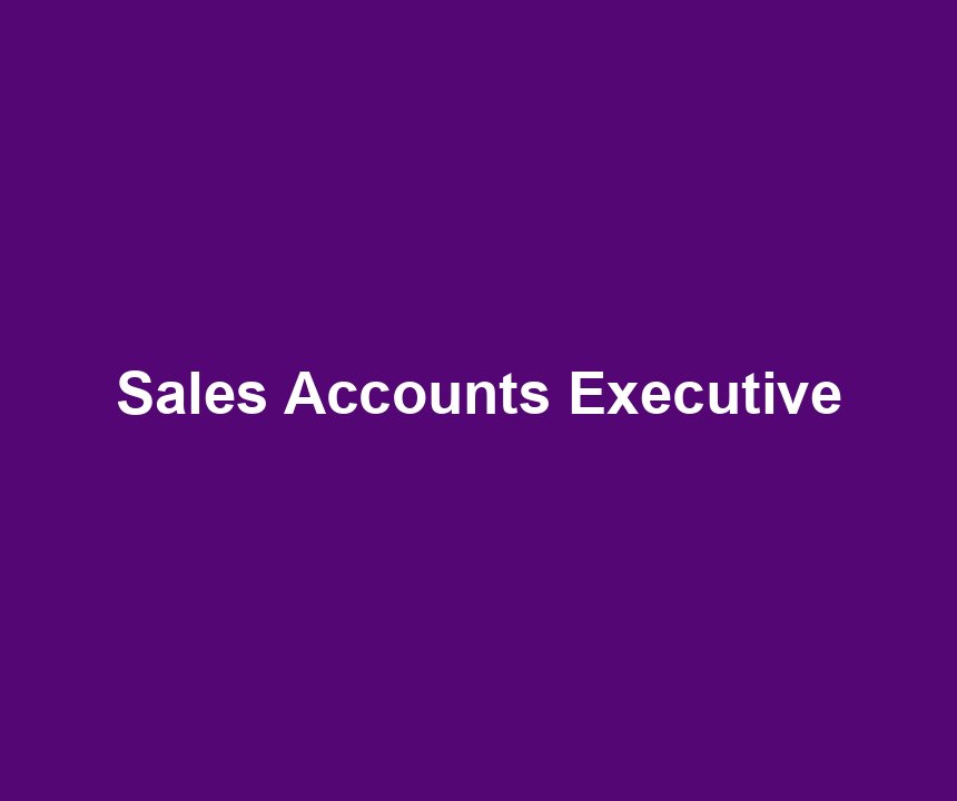 Sales Accounts Executive
