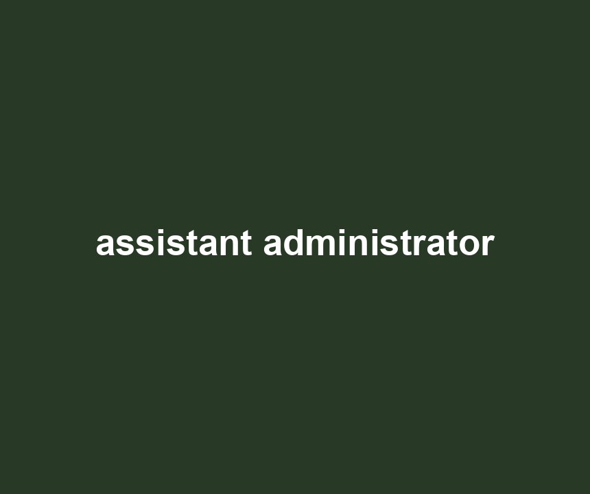 assistant administrator