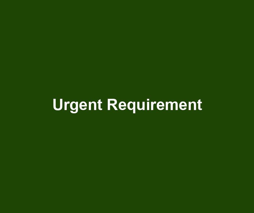 Urgent Requirement