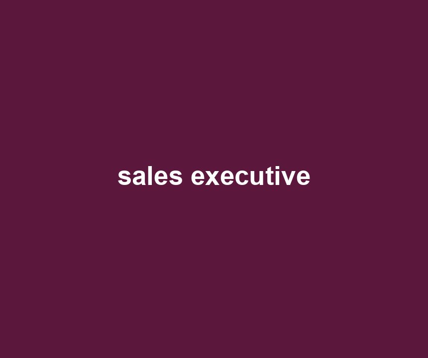 sales executive