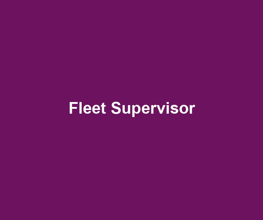 Fleet Supervisor