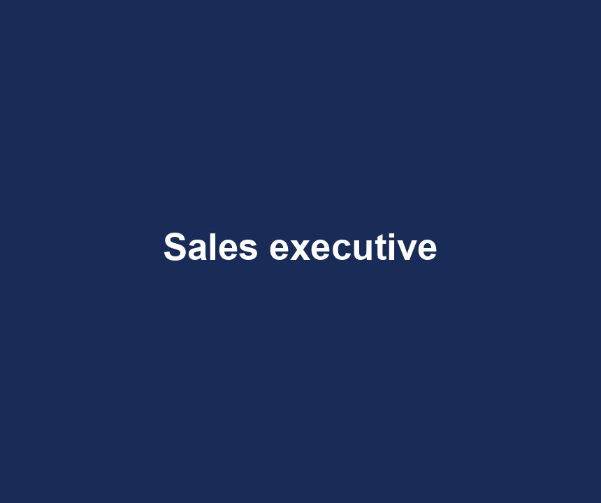 Sales executive