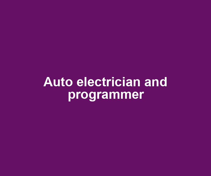 Auto electrician and programmer