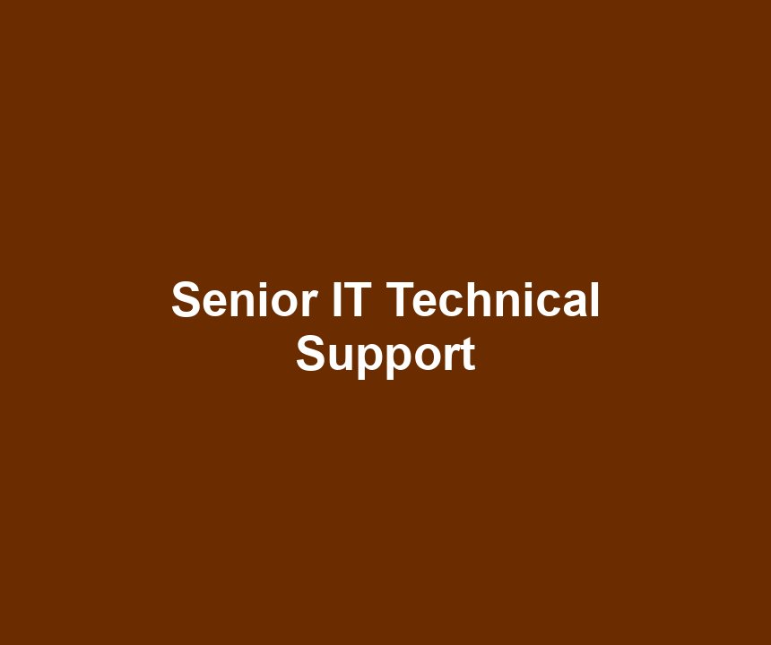 Senior IT Technical Support